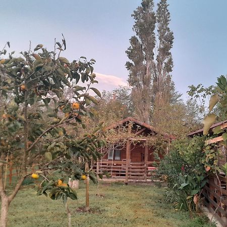 Genacvale In Bandza Hotel Martvili Exterior foto