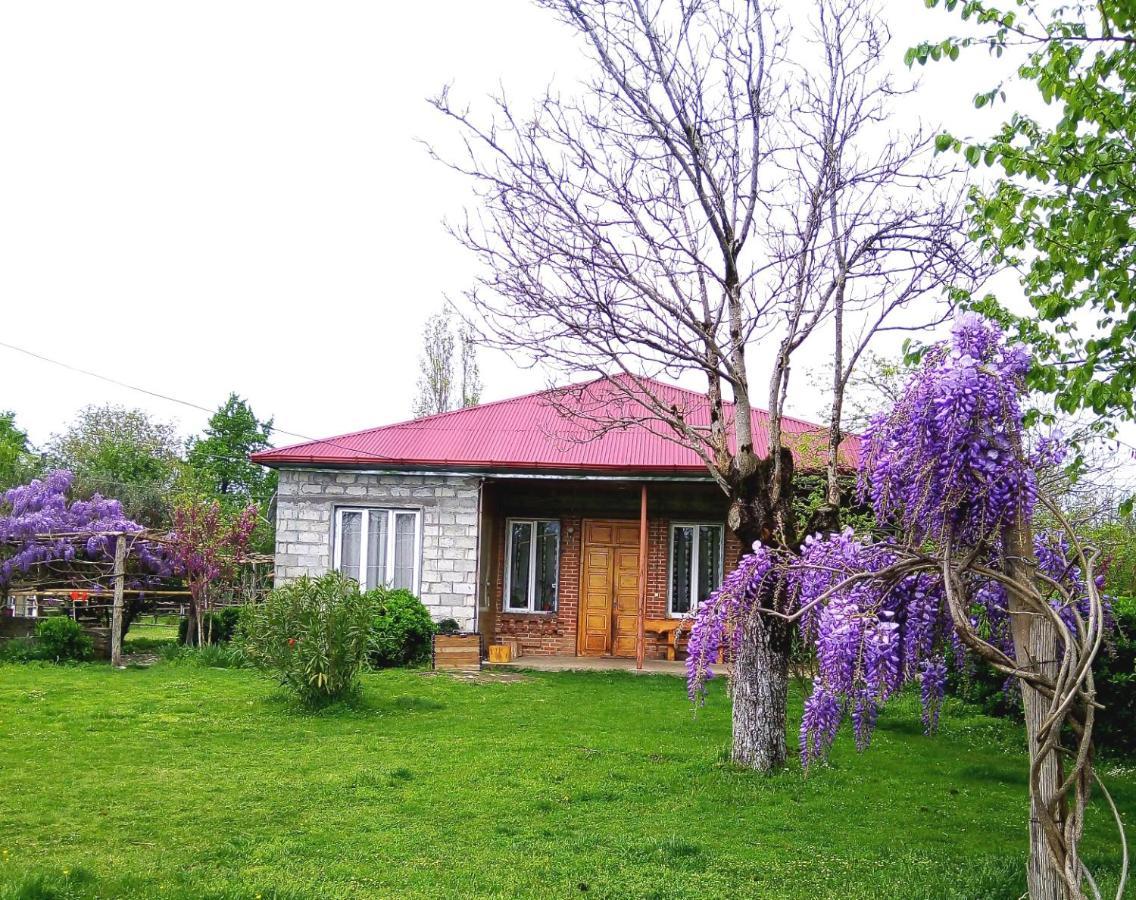 Genacvale In Bandza Hotel Martvili Exterior foto