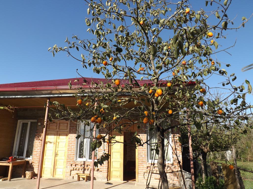 Genacvale In Bandza Hotel Martvili Exterior foto